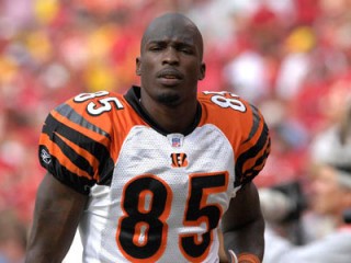 Chad Ochocinco picture, image, poster